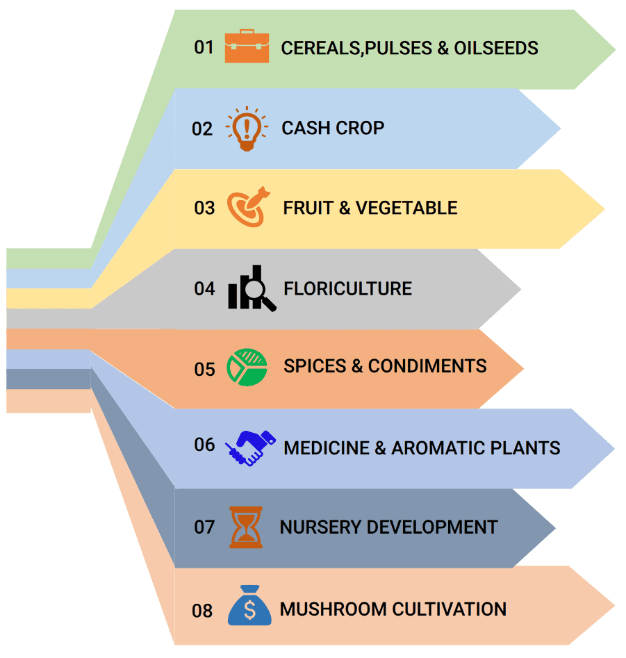 consultancy services