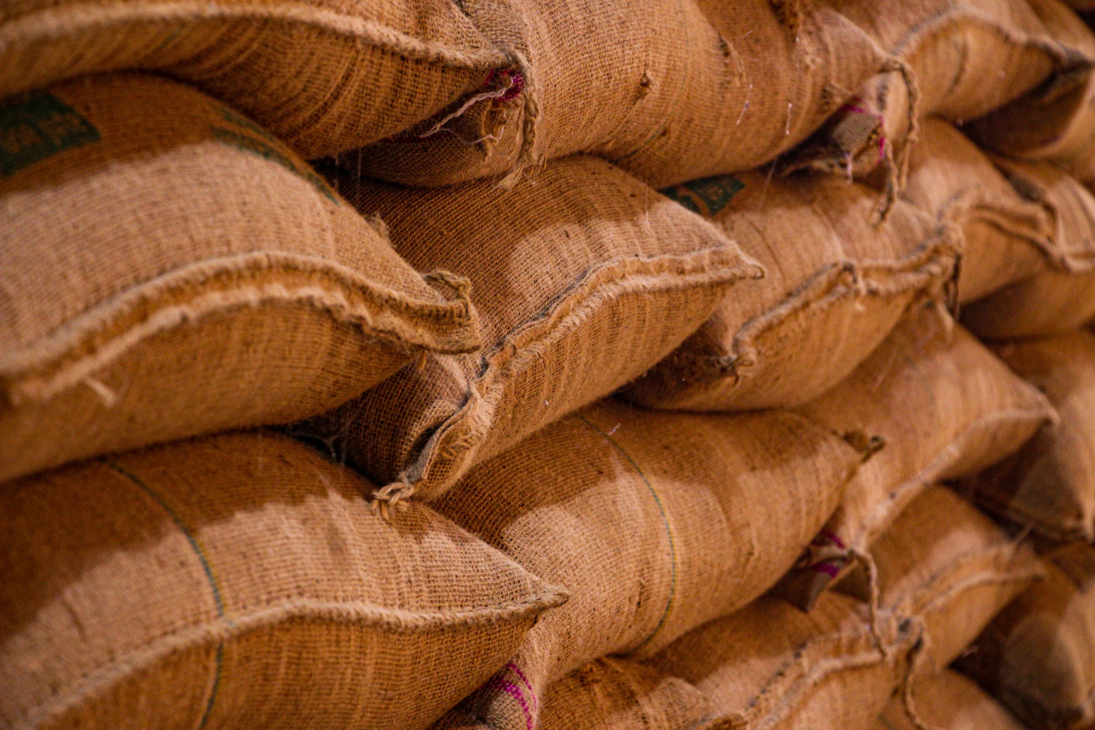 Agri Commodity Procurement Services