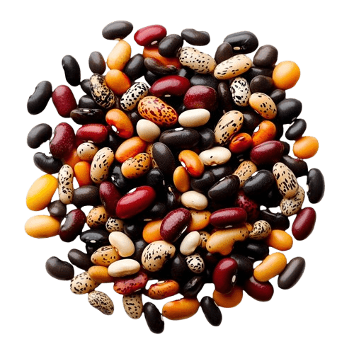 Kidney Beans
