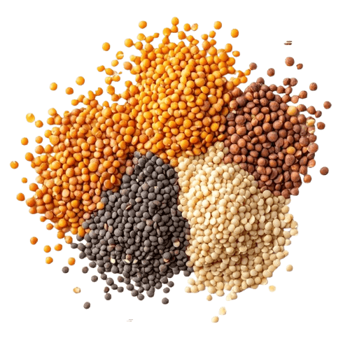 Domestic & Imported Pulses