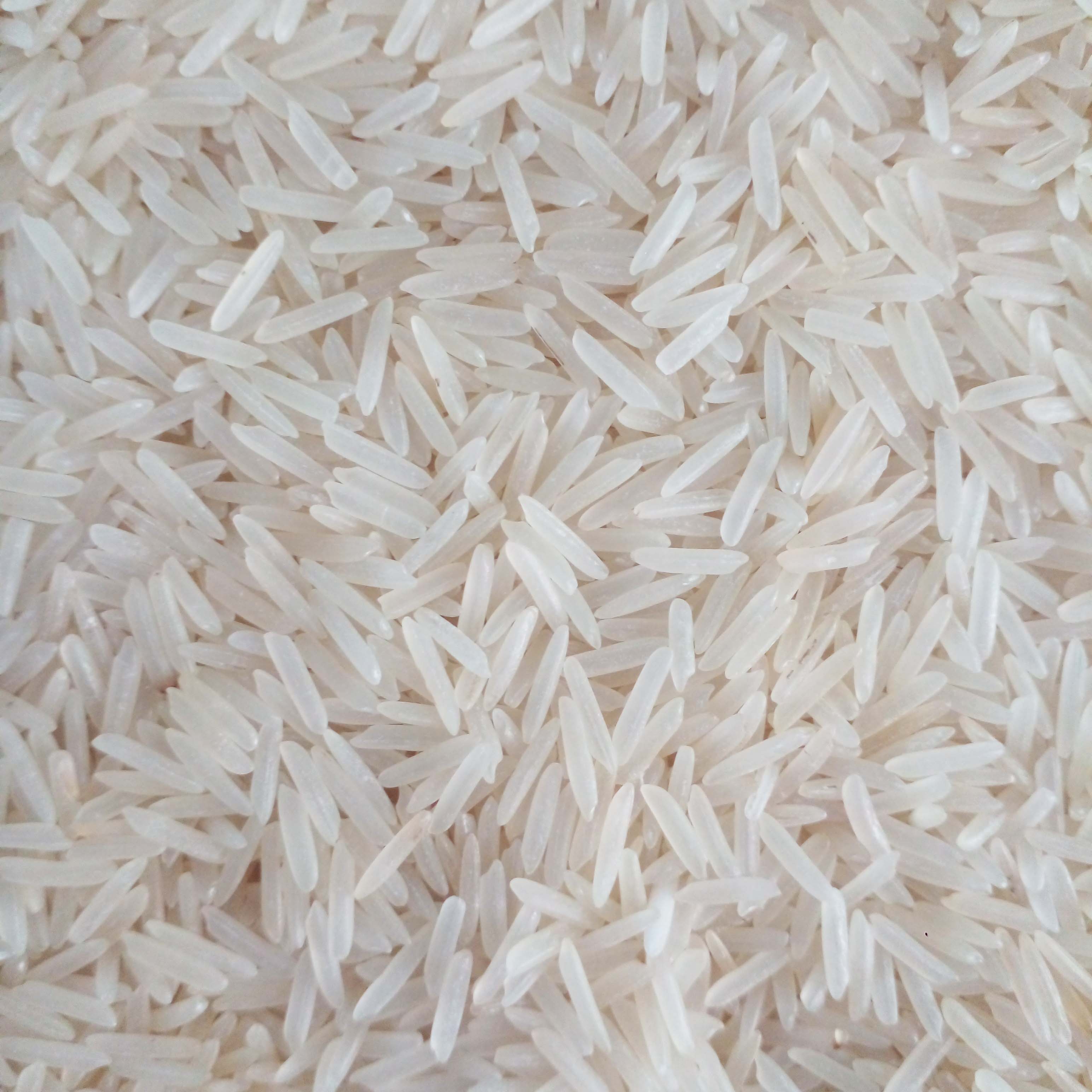 Basmati & Non-Basmati Rice