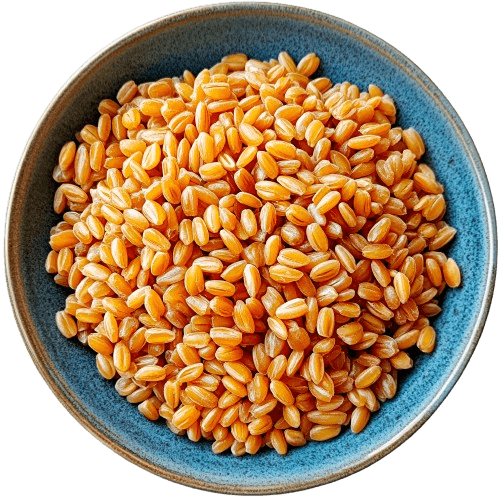 Wheat